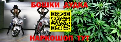 PSILOCYBIN Сланцы