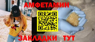 apvp Славгород