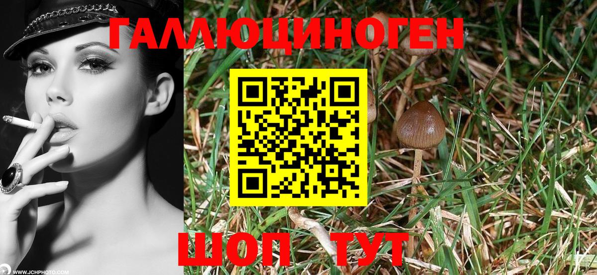 Псилоцибиновые грибы MAGIC MUSHROOMS  Вход с VPN  Похвистнево 